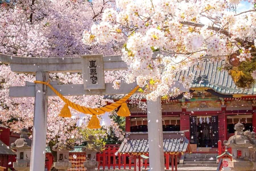 Tokyo: Nikko Day Tour Shrines, Lake Chūzenji & Kegon Falls - Hotel Pickup Rules You Should Know Before You Book