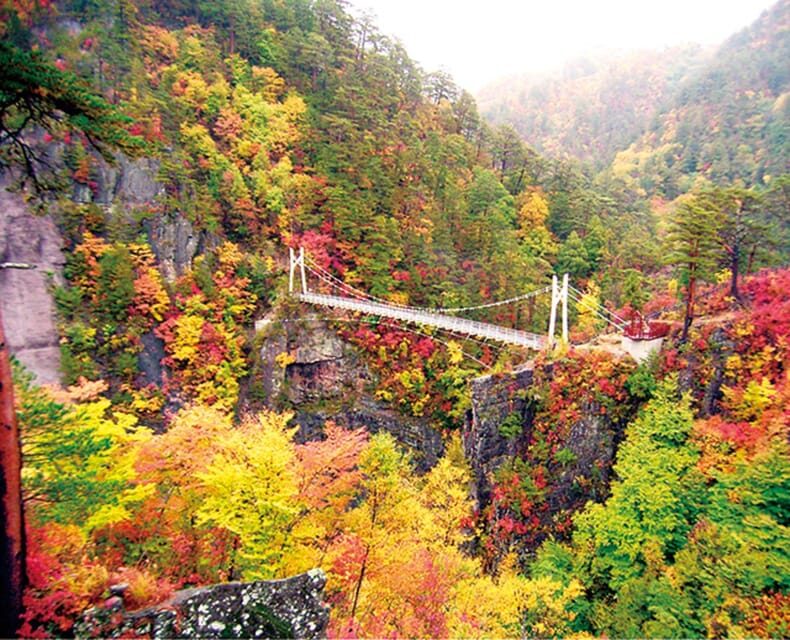 Tokyo: Nikko Day Tour with English Driver and Flexible … - Optional Edo Wonderland: add a time-trip