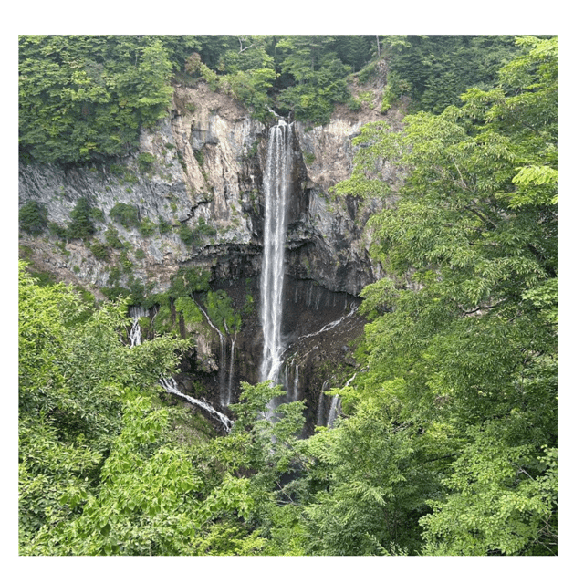 Tokyo: Nikko Kegon Falls Lake Chuzenji Toshogu Temple & More - A Private Driver Makes Nikko Feel Like Your Trip