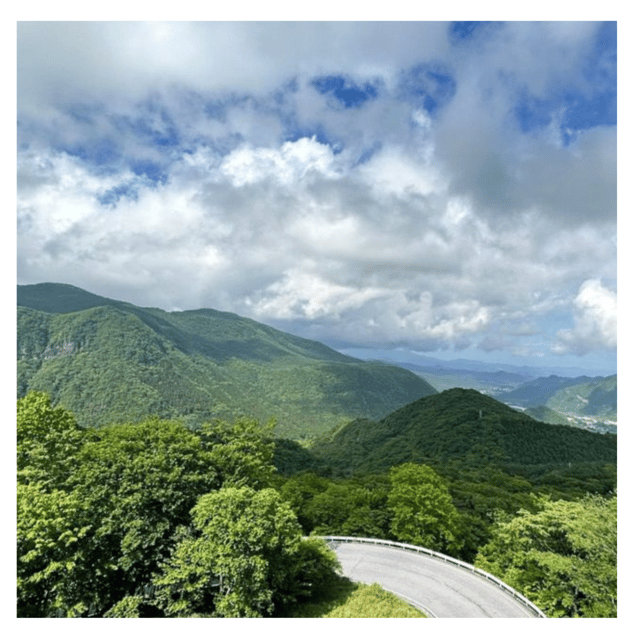 Tokyo: Nikko Kegon Falls Lake Chuzenji Toshogu Temple & More - Timing, Comfort, and the Real World of Mountain Roads