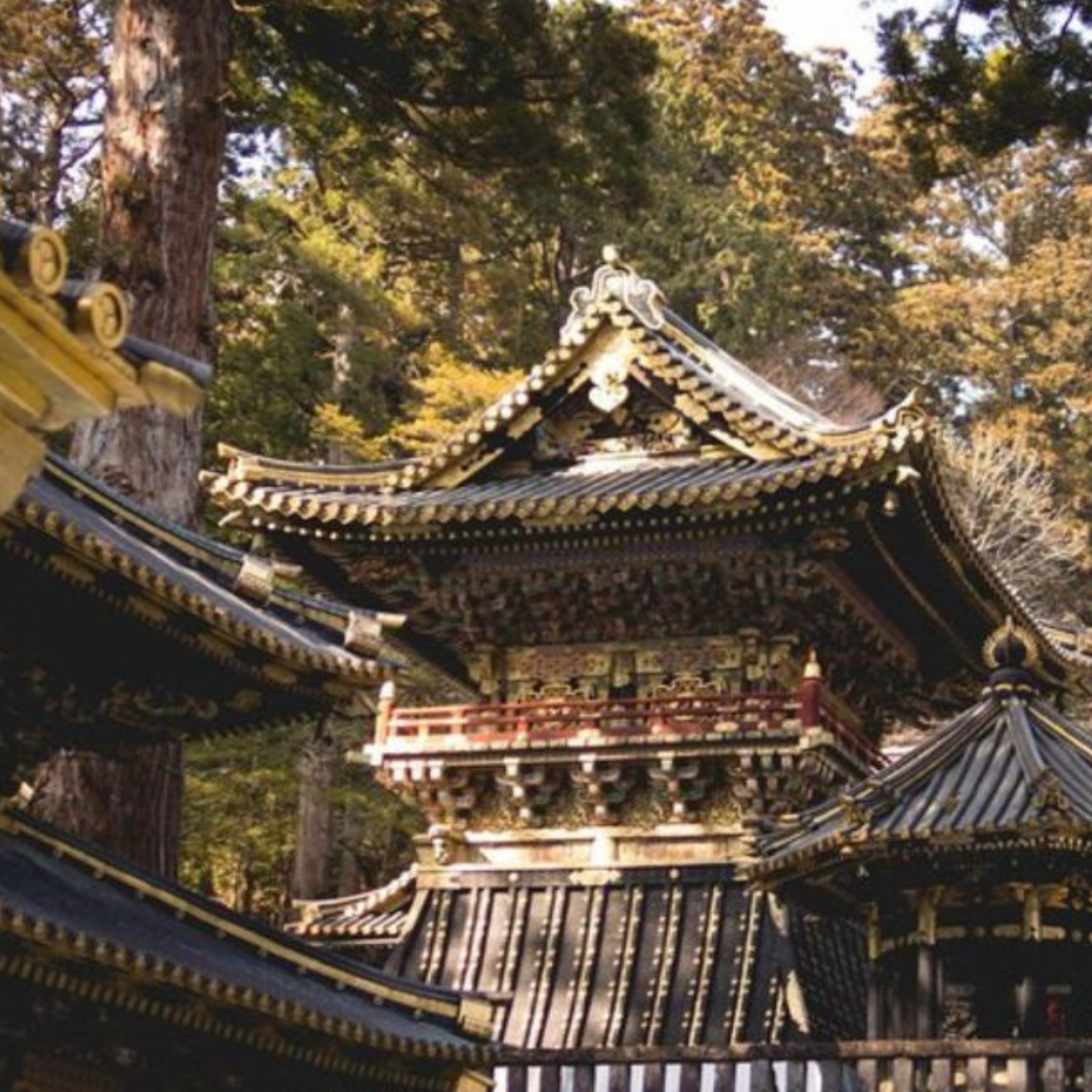 Tokyo: Nikko Kegon Falls Lake Chuzenji Toshogu Temple & More - Who This Day Trip Fits Best