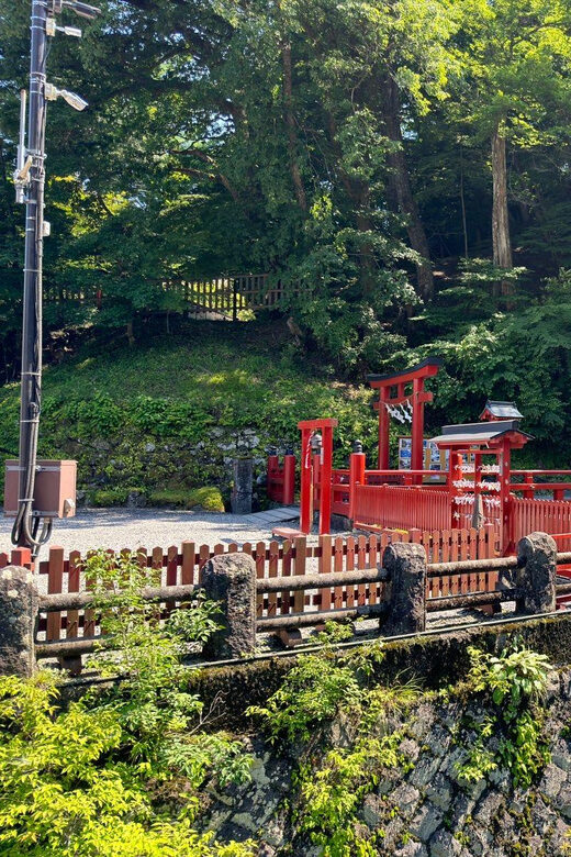 Tokyo: Nikko Private Day Tour - Akechidaira Ropeway Observation Deck: Scenic Views, Self-Guided Pace