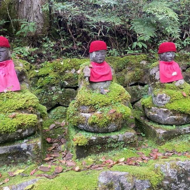 Tokyo: Nikko Private Day Tour Fully Customizeable Low Price - Lunch with local food options: keep it flexible
