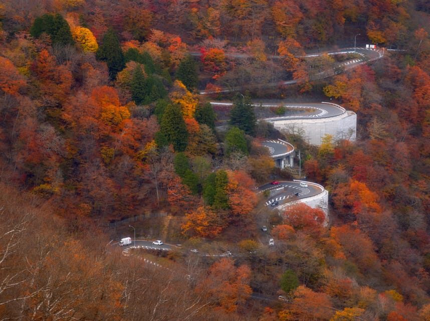 Tokyo: Nikko Private Day Tour With Guide - Key points worth your attention