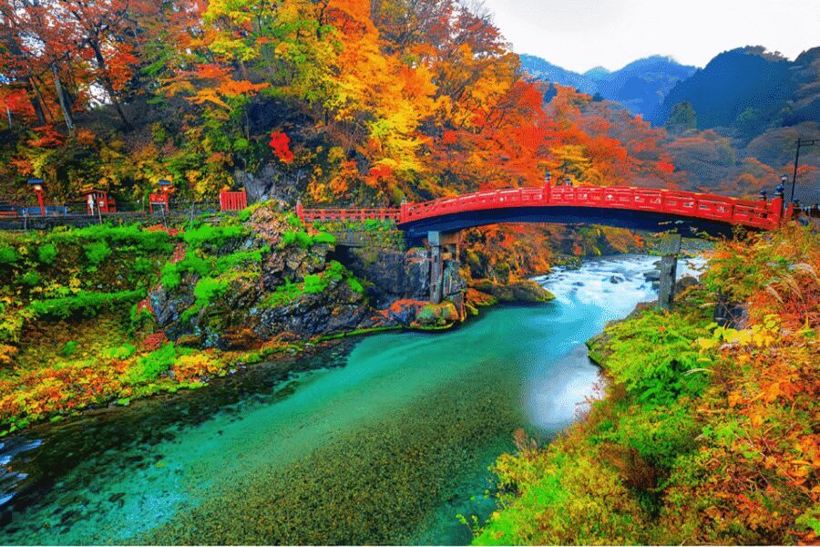 Tokyo: Nikko Private Sightseeing Day Trip with Driver - Pickup from Tokyo’s 23 Wards and Yokohama: logistics that save your energy