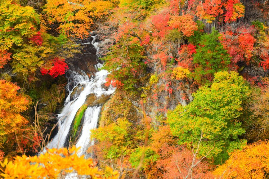 Tokyo: Nikko Private Sightseeing Day Trip with Driver - Kegon Falls: the misty 100-meter payoff and how to enjoy it