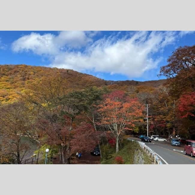 Tokyo: Nikko World Heritage Private Day Trip Hotel Pick-up - Key Things That Make This Nikko Day Trip Worth It