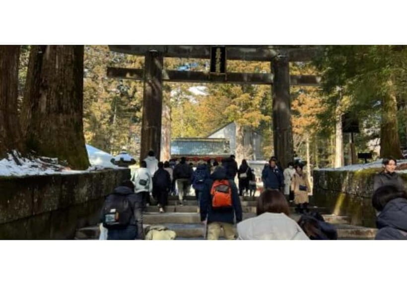 Tokyo: Nikko World Heritage Private Day Trip Hotel Pick-up - Luxury Vehicle Comfort That Makes the Whole Day Easier