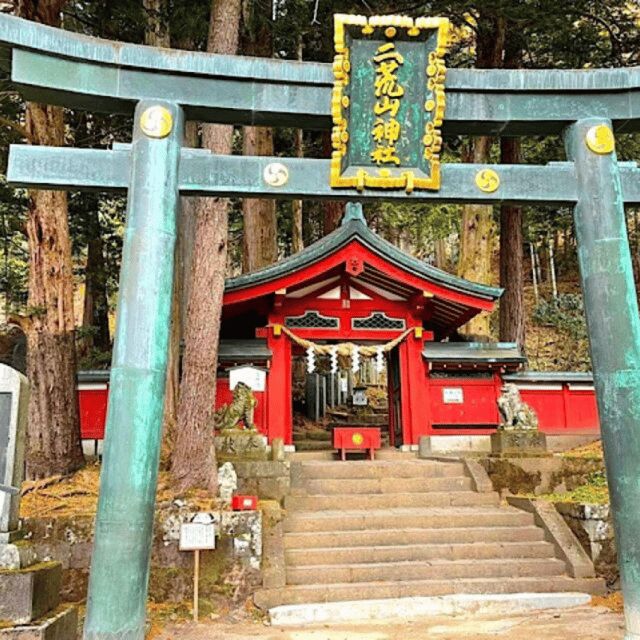Tokyo → Nikko:Private Customizable Day Trip (English Driver) - Morning logistics: pickup inside Tokyo 23 wards, early start, and meeting points