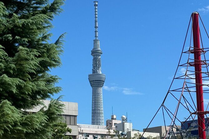 TOKYO , No1 Yokozuna Stable Morning Practice in Ryogoku - Price and logistics: does $110 make sense for 2.5 hours?