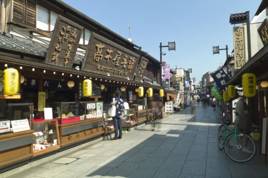 Tokyo: Off the Beaten Path Private Guided Tour - Yanaka Ginza: the quieter side of Tokyo shopping