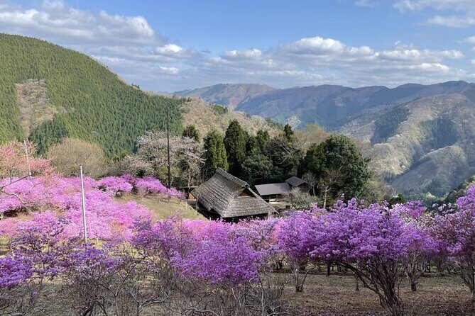 Tokyo Okutama Day Trip Tour - Price and Value: What $165 Really Buys on This Okutama Day Trip