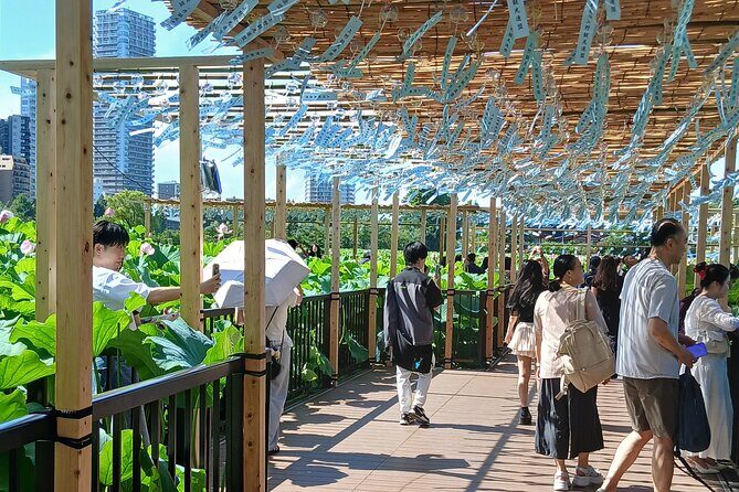 Tokyo Old Town Discovery Walk. Lunch Included - Start in Asakusa: skyline views and the temple-street approach