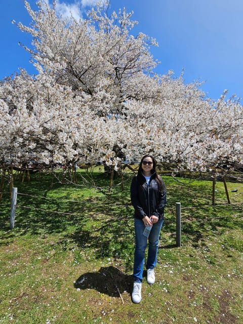 Tokyo: Personalized Half-day Tour - Who should book this tour?