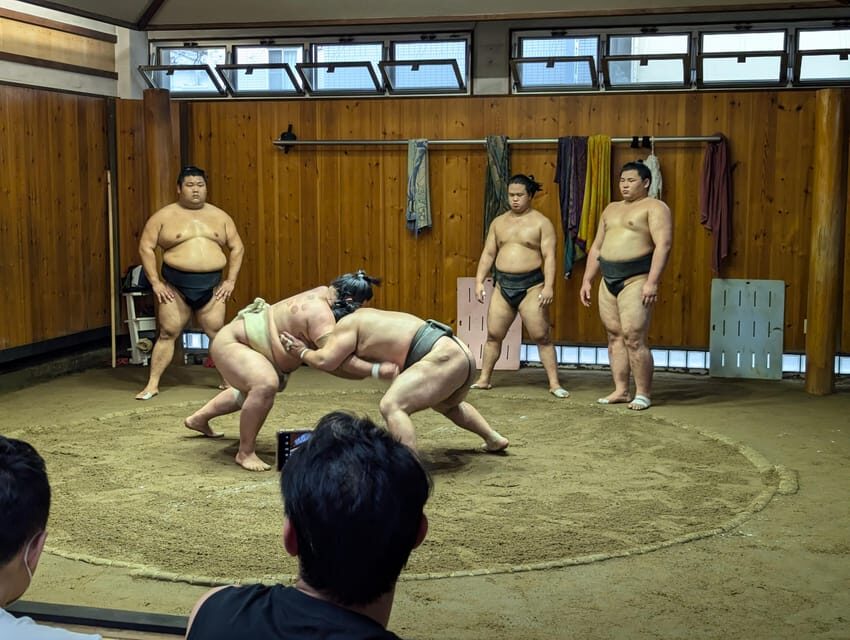 Tokyo: Personalized Half-day Tour - How a 4-hour format helps (and where it can trip you up)
