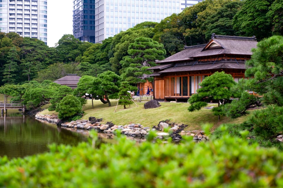 Tokyo: Personalized Private 6-Hour Tour - Key points