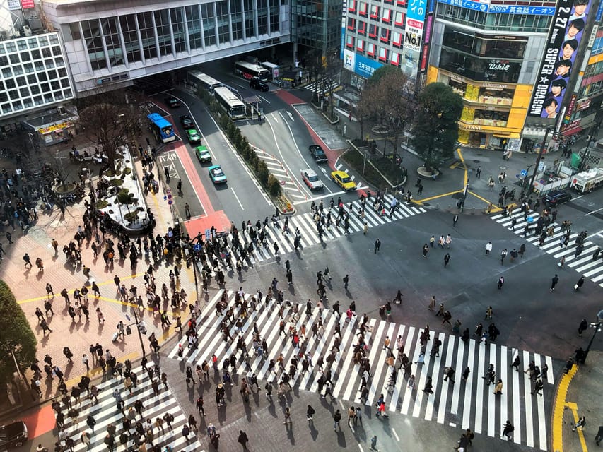 Tokyo: Personalized Private 6-Hour Tour - Other Smart Add-Ons Your Guide Can Fit In