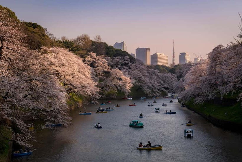 Tokyo: Photography Masterclass - Private Photo Lesson - Shibuya’s Hachiko Meeting Point and Coffee Warm-Up
