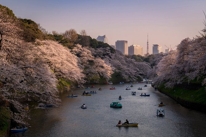 Tokyo Photography Masterclass - Private Photography Lesson - Why a private Tokyo masterclass beats solo wandering