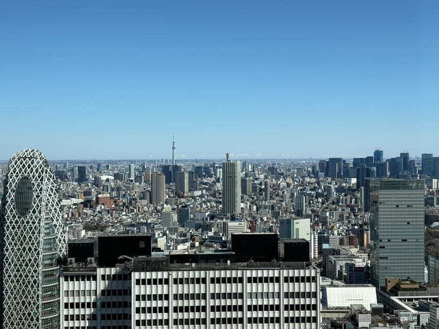 Tokyo: Private 1-Day Sightseeing Tour by Car with Guide - How the 8-hour plan works in real life