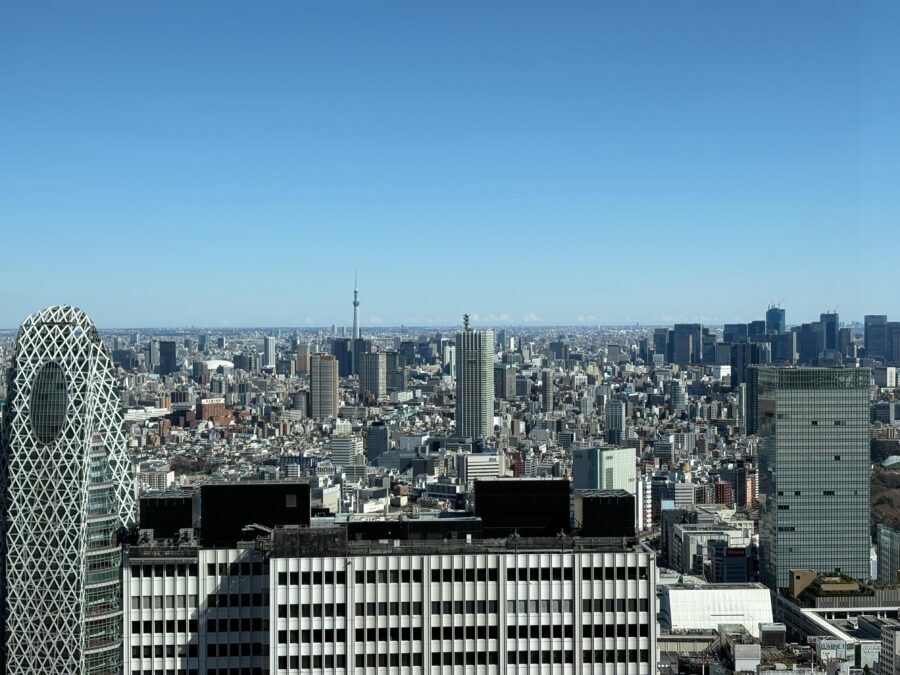 Tokyo: Private 1-Day Sightseeing Tour by Car with Guide - Tokyo Tower or Tokyo Skytree: picking your skyline moment