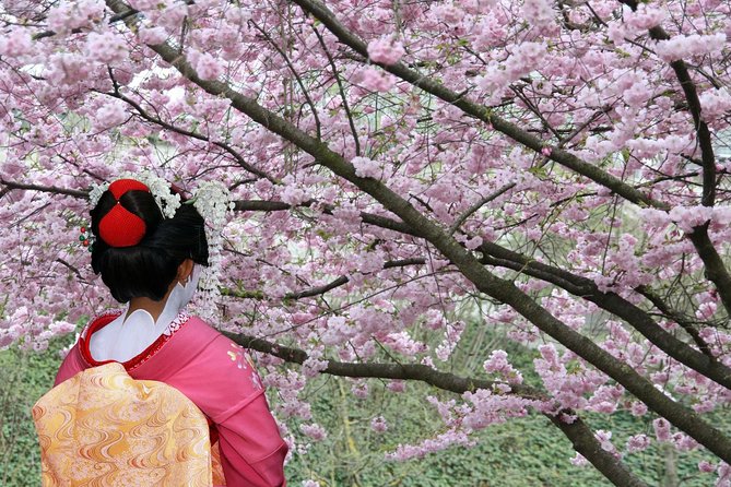 Tokyo Private Cherry Blossom Tour with a Local – Picnic Included - Matsuya Asakusa Depachika: choosing your hanami picnic like a pro
