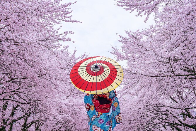 Tokyo Private Cherry Blossom Tour with a Local – Picnic Included - What’s actually included in the picnic (and how to get the most from it)