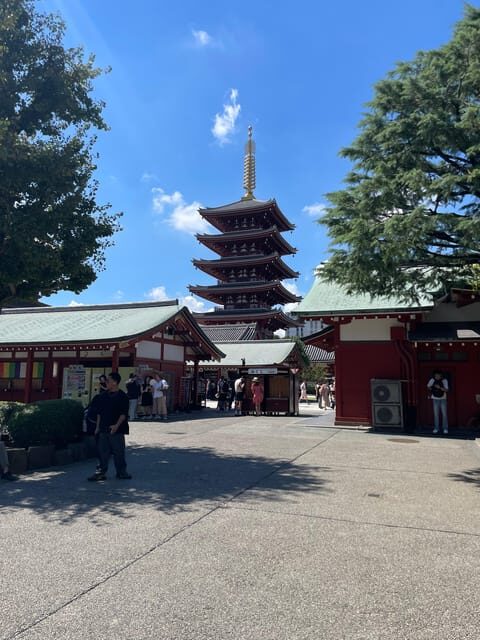 Tokyo: Private City Highlights Tour - Meiji Shrine: A Peaceful Reset in a Forest Setting