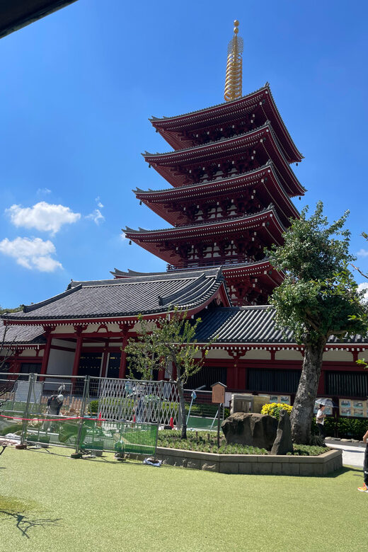 Tokyo: Private City Highlights Tour - Asakusa and Senso-ji: Old Tokyo With Real Atmosphere