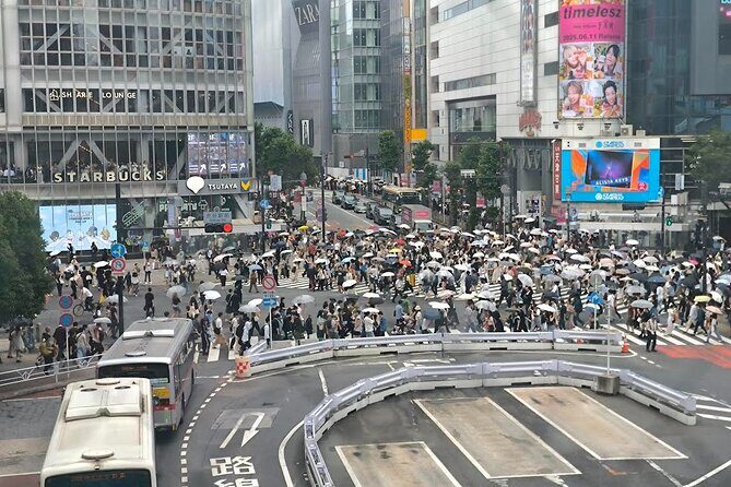 Tokyo Private Custom Tour with Local guide - Akihabara Radio Kaikan: anime figures and real-life tech browsing