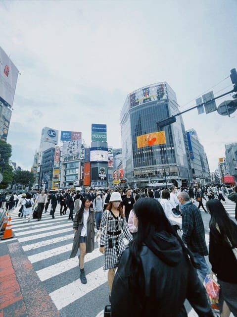 Tokyo: Private Customizable City Tour with Chauffeur - Who This Tour Fits Best (and Who Might Prefer Something Else)