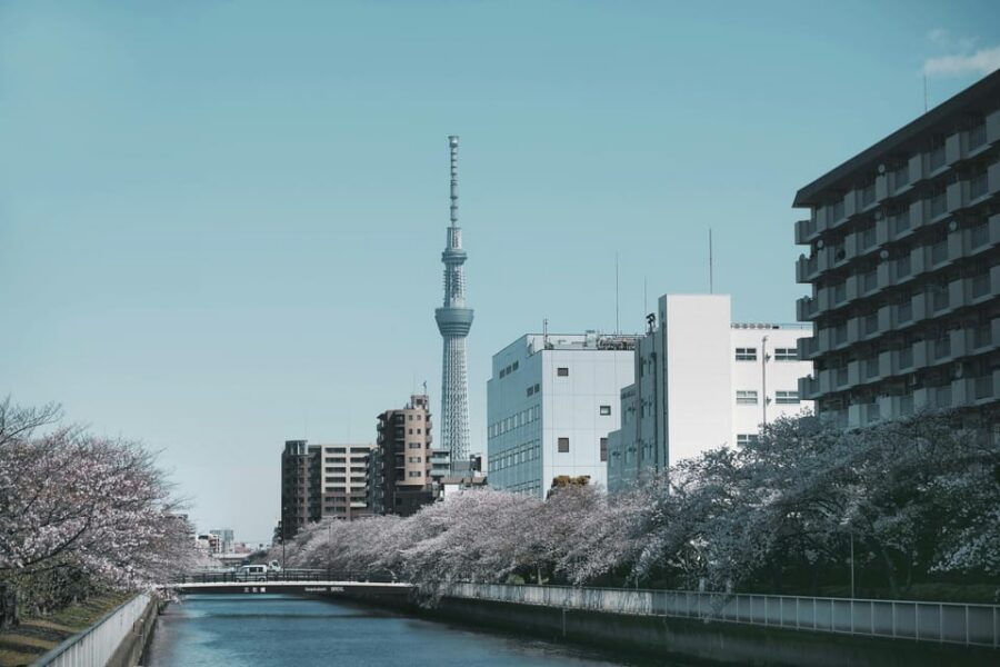 Tokyo: Private Customizable City Tour with Chauffeur - Imperial Palace Grounds, Skytree, and the Art of One-Day Skyline Fix