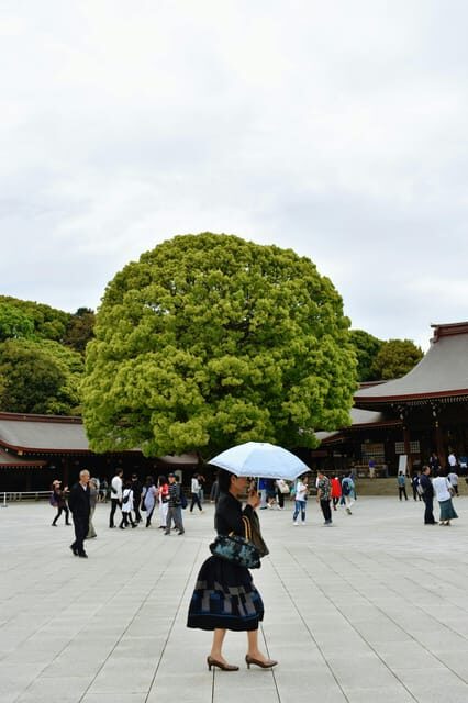 Tokyo: Private Customizable City Tour with Chauffeur - Shibuya Crossing and the Final Walk Through Omotesando Energy