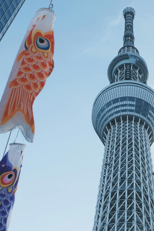 Tokyo: Private Customizable Day Tour with Chauffeur - Key things I’d plan for before you go