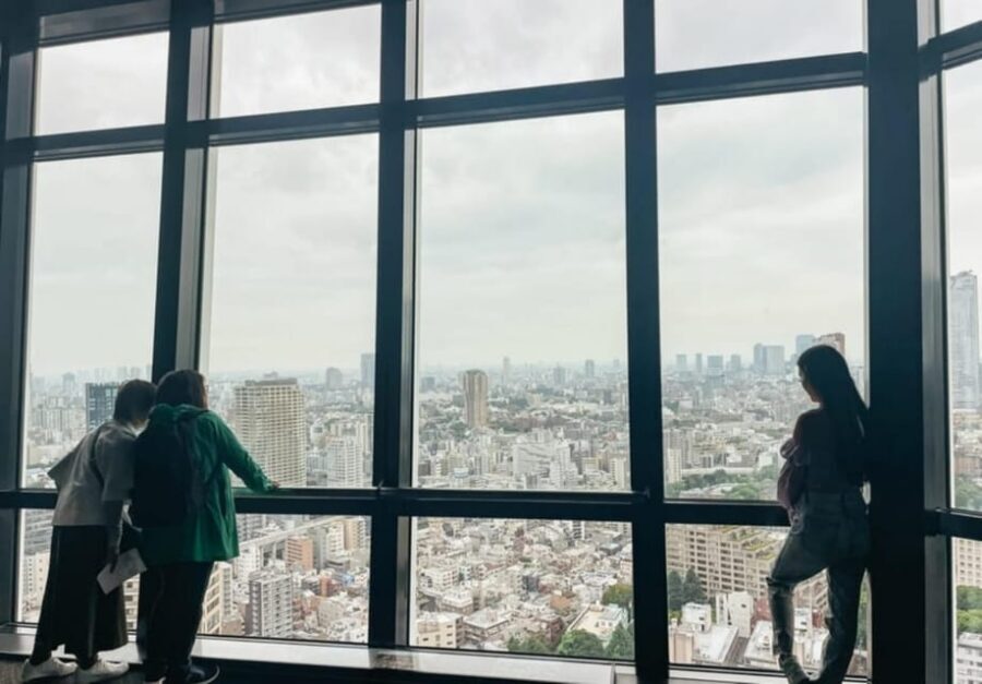 Tokyo: Private Customizable Day Tour with Chauffeur - Shibuya Crossing again, minus the confusion