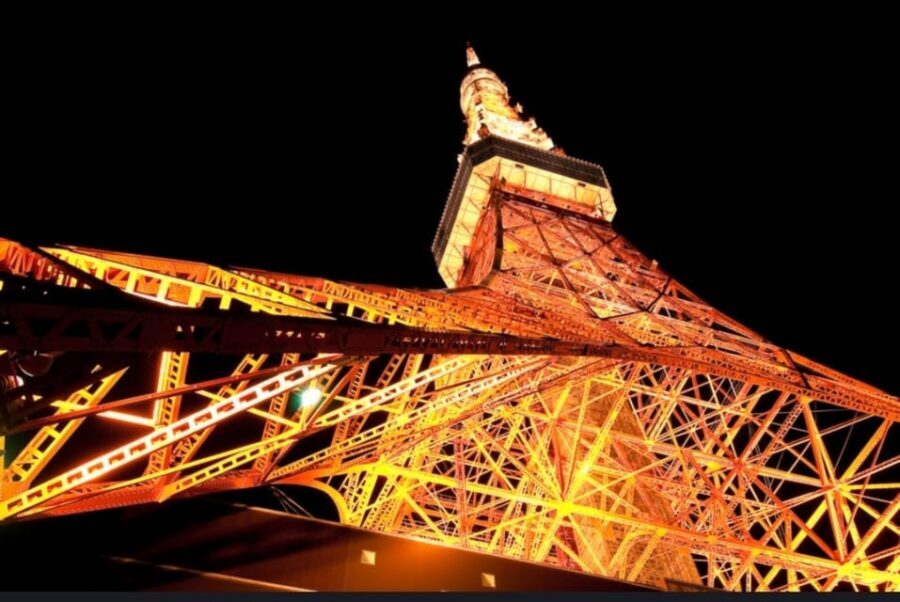 Tokyo: Private Customizable Day Tour with Chauffeur - Tokyo Tower: a skyline view with an older, iconic feel