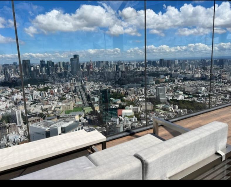 Tokyo: Private Customizable Day Tour with Chauffeur - Tokyo Skytree: height, modern views, and a different perspective