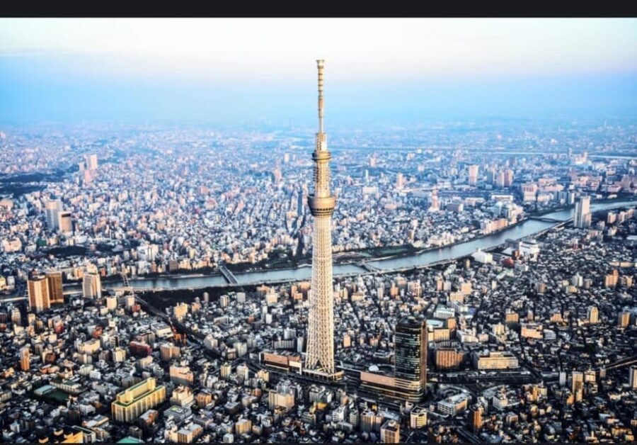 Tokyo: Private Customizable Day Tour with Chauffeur - Meiji Shrine and the Imperial Palace area: the calm reset you need
