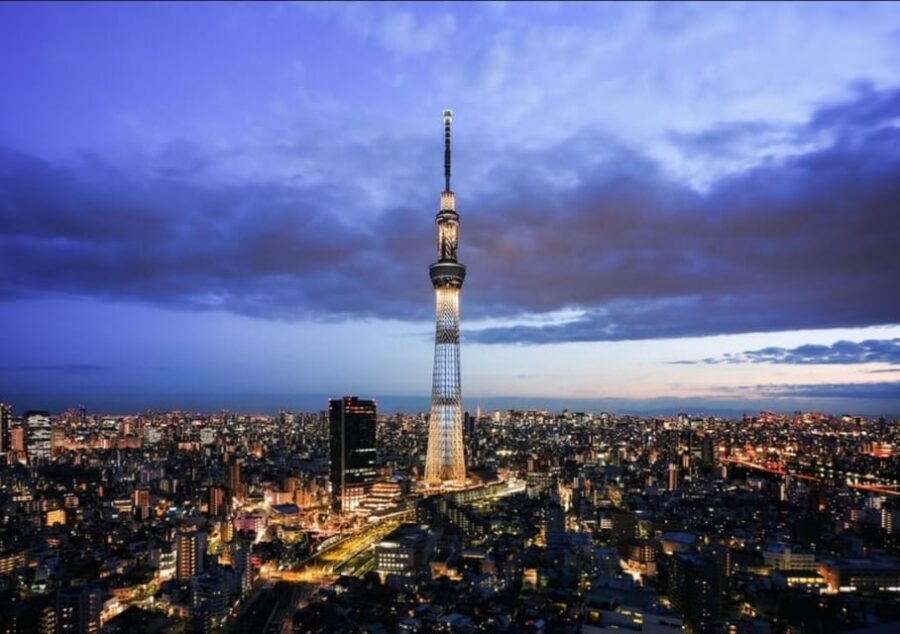 Tokyo: Private Customizable Day Tour with Chauffeur - Pickup across Tokyo wards: less time hunting, more time seeing