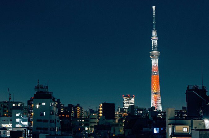 Tokyo Private Customizable Full Day Tour - Akihabara-style electronics and otaku culture