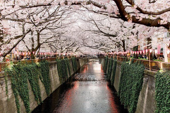 Tokyo Private Customizable Half Day Tour - What You Can Expect on Tour Day (4 Hours, Moderate Walking)