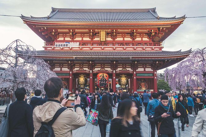 Tokyo Private Customizable Half Day Tour - The Neighborhood Route: From Oshiage to Shinjuku (And Why the Order Helps)