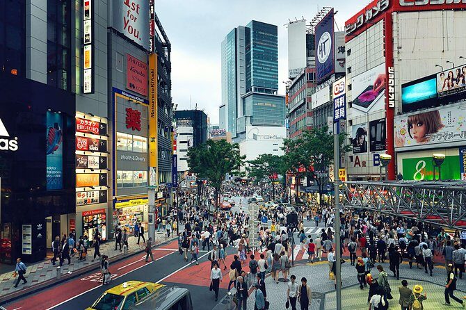 Tokyo Private Customizable Half Day Tour - Practical Planning Tips So Your Tour Feels Worth It
