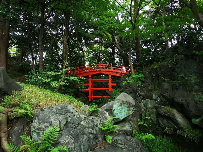Tokyo: Private & Customizable Tour - All-in-One Experience - Who Should Book This Private Tokyo Tour