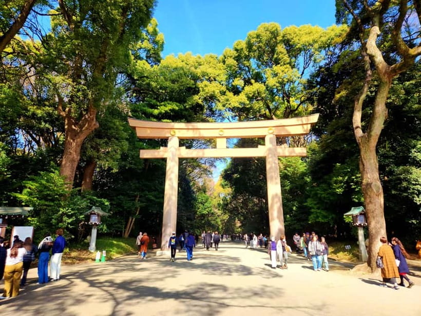 Tokyo: Private & Customizable Tour - All-in-One Experience - Photography, Local Eats, and Practical Help You Don’t Want to Miss