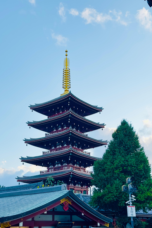Tokyo: Private & Customizable Tour W/English Speaking Guide - Key things to know before you go