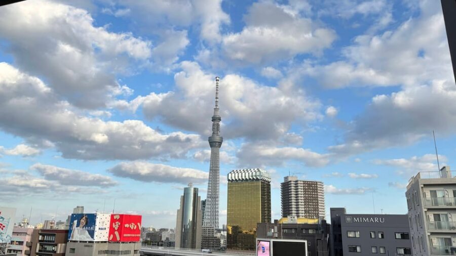 Tokyo: Private Customizable Tour with a Local Guide - Key takeaways before you go