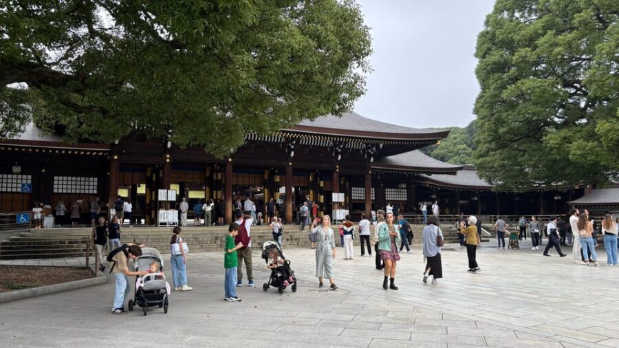 Tokyo: Private Customizable Tour with a Local Guide - How a private, customizable Tokyo day really plays out