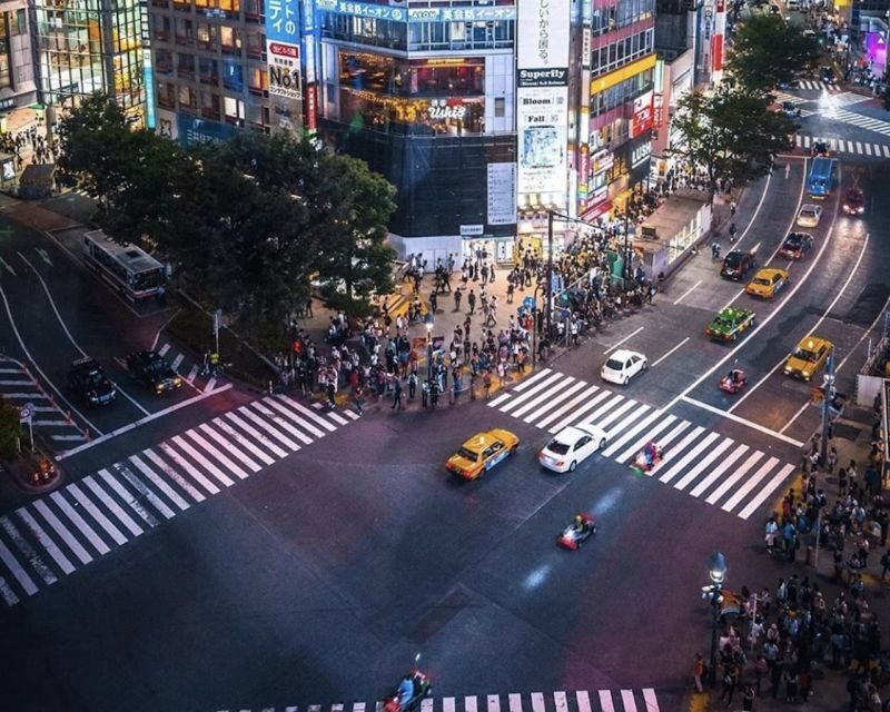 Tokyo: Private Customizable Tour with Transfer - Why a private van beats the Tokyo transit treadmill