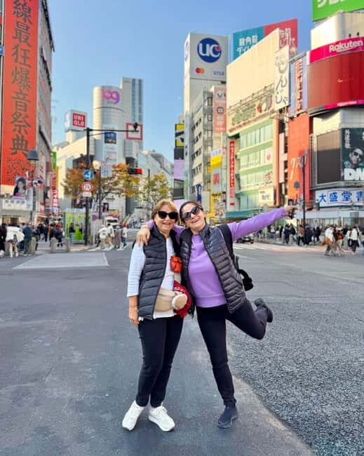 Tokyo: Private Customized 1 day Tour with Local Guides - Key Points Worth Knowing